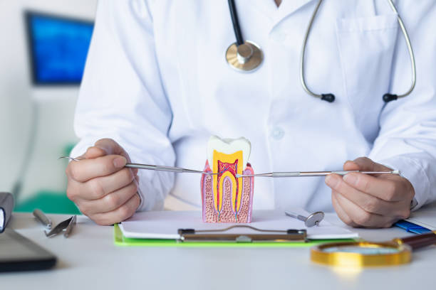 Best Pediatric Emergency Dentist in Moore, OK